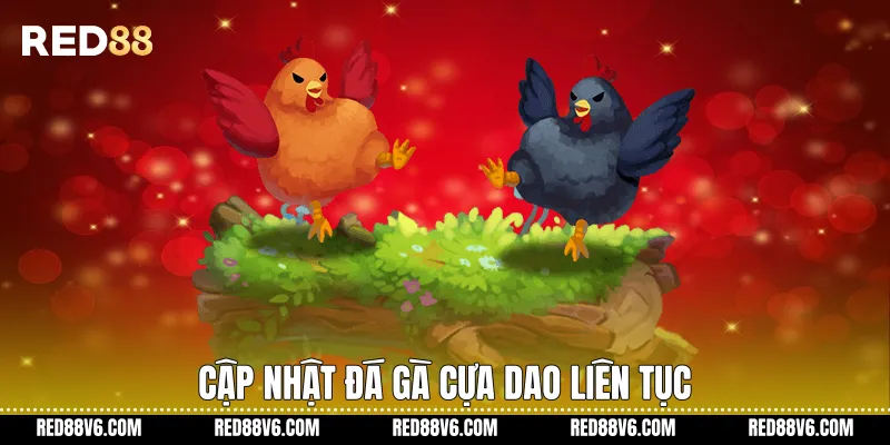 Cập nhật đá gà cựa dao liên tục