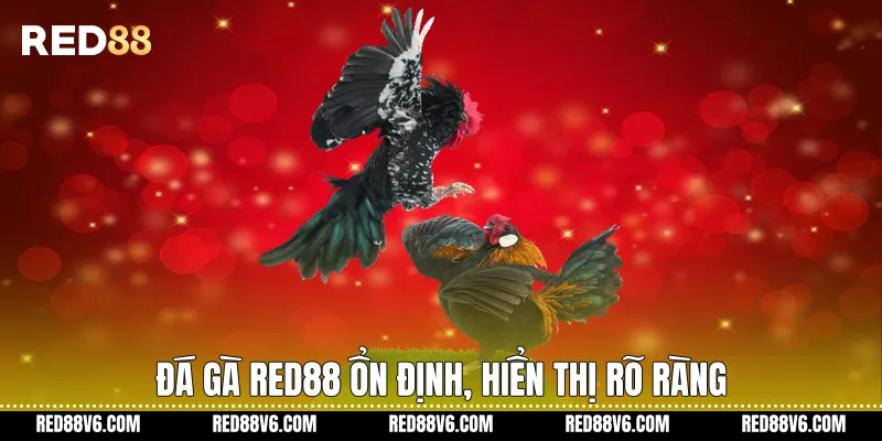 Đá gà RED88 ổn định, hiển thị rõ ràng