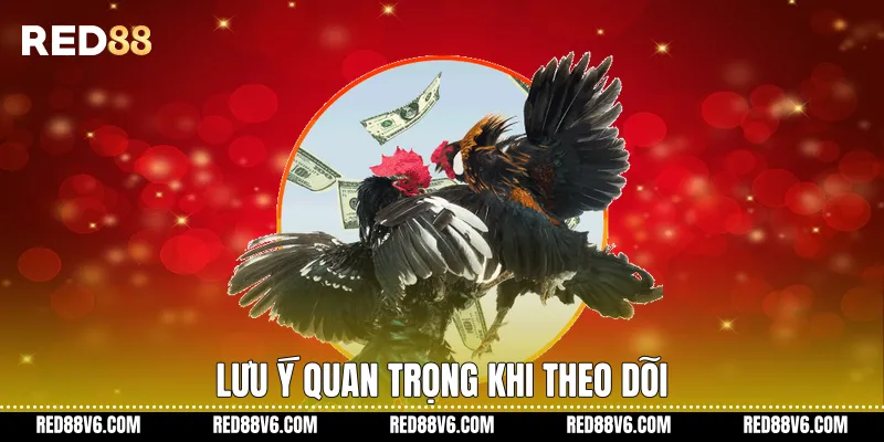 Lưu ý quan trọng khi theo dõi