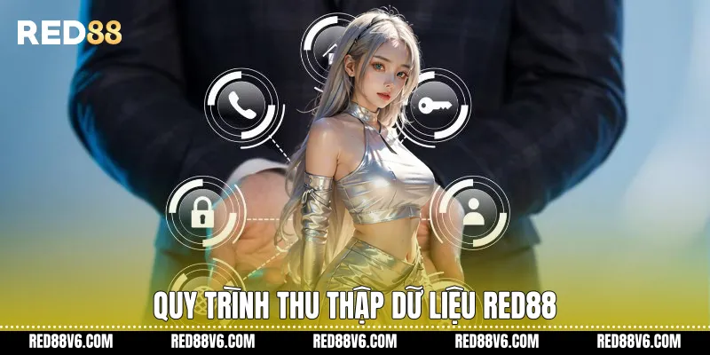 Quy trình thu thập dữ liệu RED88