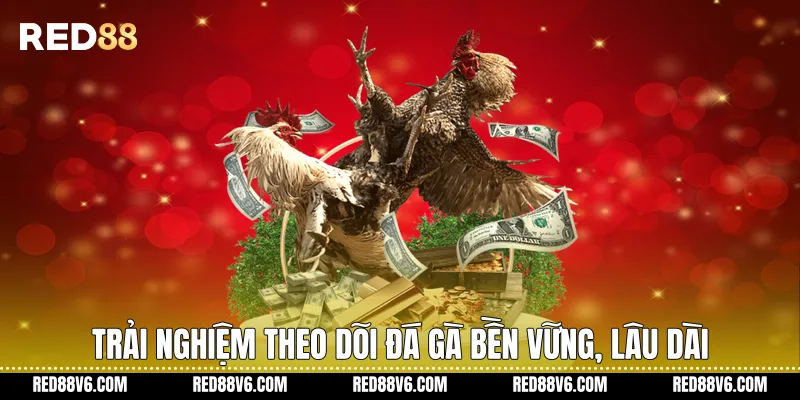 Trải nghiệm theo dõi đá gà bền vững, lâu dài